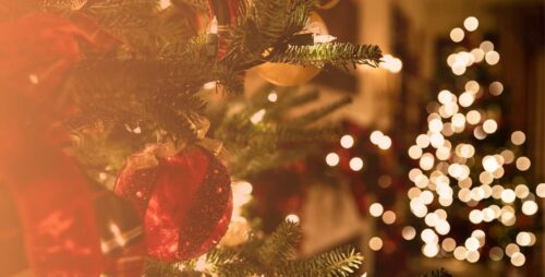 Haben Sie weitere Titel oder Texte, die Sie übersetzen lassen möchten?